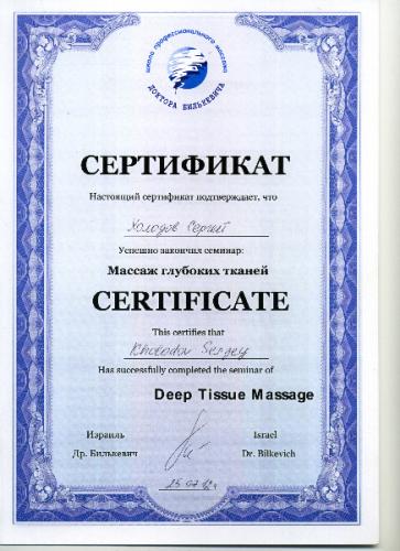 22-Holodov